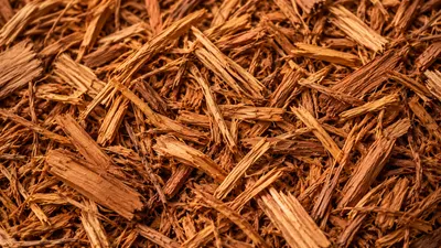 Cedar mulch texture